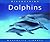 Discovering Dolphins