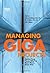 Managing Gigaprojects: Advice from Those Who've Been There, Done That