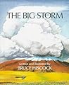 The Big Storm by Bruce Hiscock