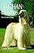 Afghan Hounds