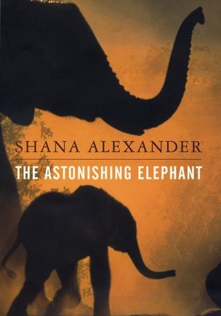 The Astonishing Elephant (Hardcover)