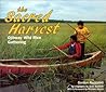 The Sacred Harvest: Ojibway Wild Rice Gathering (We Are Still Here : Native Americans Today)
