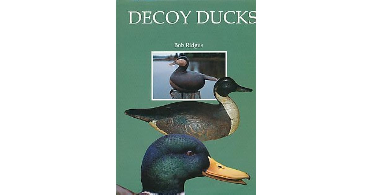 Decoy Ducks by Bob Ridges