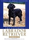 The Ultimate Labrador Retriever