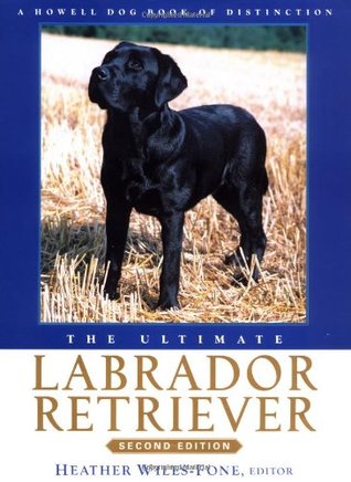 The Ultimate Labrador Retriever (Hardcover)