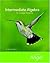 Intermediate Algebra for College Students (The Angel Developmental Algebra Series)
