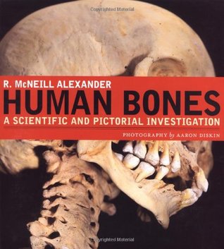 Human Bones: A Scientific and Pictorial Investigation (Hardcover)