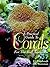 A Practical Guide to Corals for the Reef Aquarium