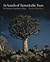 In Search of Remarkable Trees by Thomas Pakenham In Search of Remarkable Trees by Thomas Pakenham