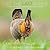 Save The Last Dance: A Stor...