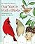 Our Yard Is Full of Birds by Anne Rockwell Our Yard Is Full of Birds by Anne Rockwell