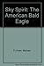 Sky Spirit: The American Ba...