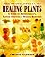 The Encyclopedia of Healing Plants by Chrissie Wildwood The Encyclopedia of Healing Plants by Chrissie Wildwood