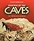 Painters of The Caves (National Geographic Society)