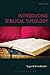 Introducing Biblical Theology by Sigurd Grindheim