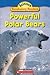 Powerful Polar Bears by Elizabeth Bennett