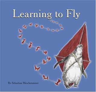 Learning to Fly (Hardcover)