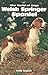 The Welsh Springer Spaniel