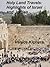 Holy Land Travels: Highlights of Israel and Jordan