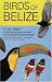 Birds of Belize by H. Lee Jones