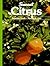Citrus