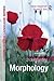 Understanding Morphology (Understanding Language)