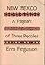 New Mexico, a Pageant of Three Peoples