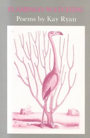 Flamingo Watching (Paperback)