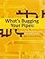 What's Bugging Your Pipes: ...