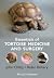 Essentials of Tortoise Medicine and Surgery by John Chitty