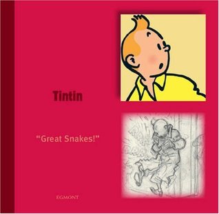 Tintin by Michael Farr (2007-05-04)
