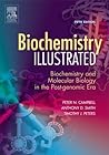 Biochemistry Illustrated: Biochemistry and Molecular Biology in the Post-Genomic Era