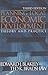 Planning Local Economic Development: Theory and Practice