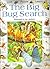 The Big Bug Search