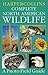 HarperCollins Complete North American Wildlife: A Photo Field Guide
