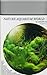 Nature Aquarium World by Takashi Amano Nature Aquarium World by Takashi Amano