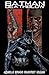 Batman/Deathblow: After the Fire #2 (of 3)