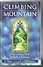 Climbing the Mountain by Anne, a lay apostle