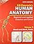 Human Anatomy, 5E, Vol 3, With Cd by B.D. Chaurasia