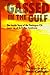 Gassed in the Gulf: The Inside Story of the Pentagon-CIA Cover-Up of Gulf War Syndrome
