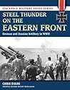 Steel Thunder on the Eastern Front: German and Russian Artillery in WWII