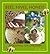 Bees, Hives, Honey! by Tim Rowe