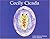 Cecily Cicada