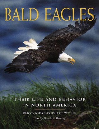Bald Eagles: Their Life and Behavior in North America (Paperback)