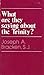 What are they saying about the Trinity? (A Deus book)