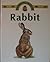 Rabbit (Observing Nature)