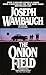 The Onion Field