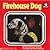 Firehouse Dog