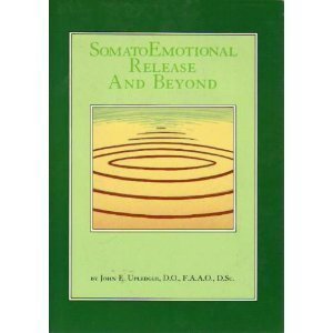 Somato Emotional Release and Beyond (Hardcover)
