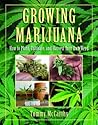 Growing Marijuana...